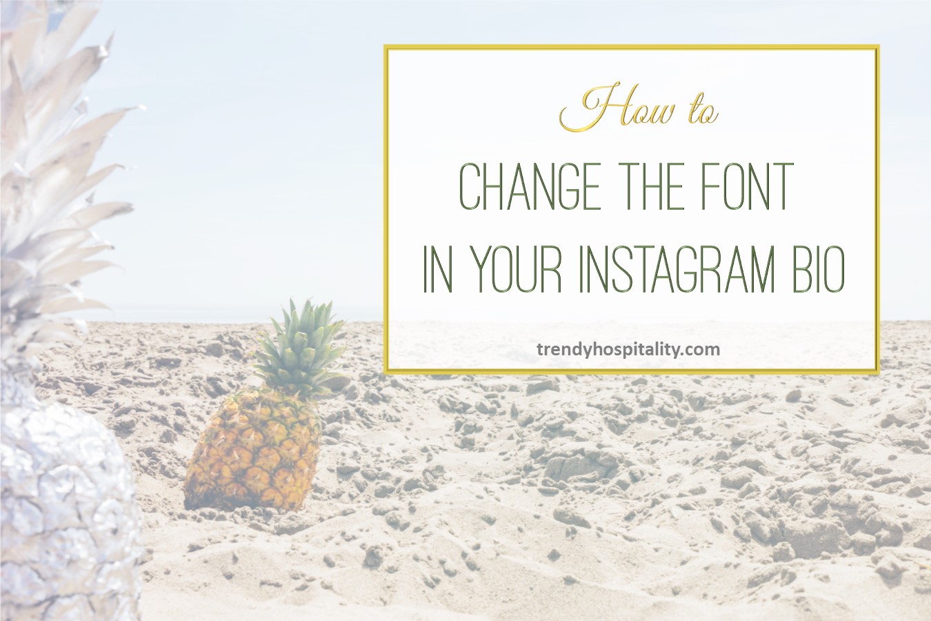 how-to-change-the-font-in-your-instagram-bio-trendy-hospitality